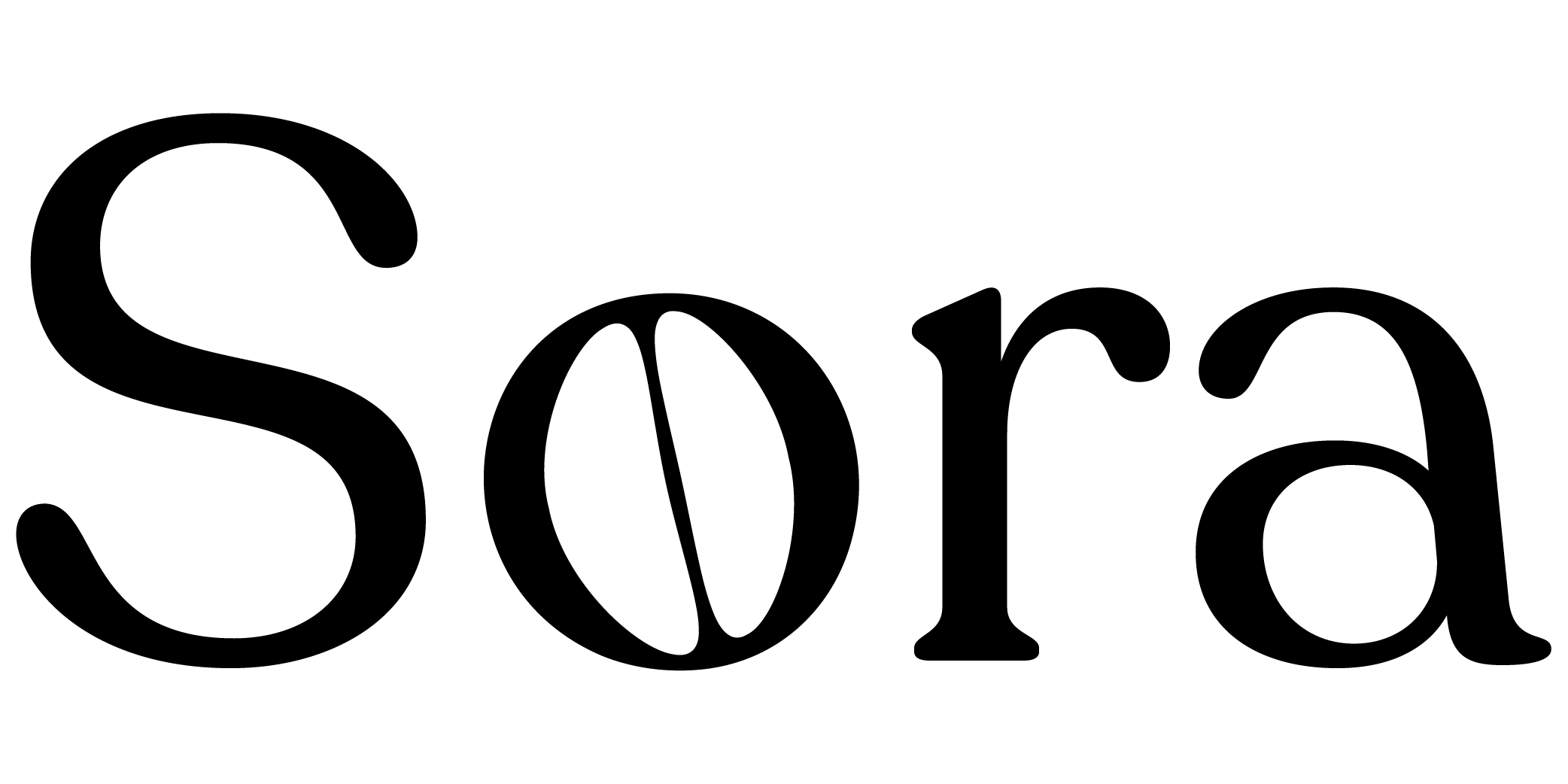 Sora Logo